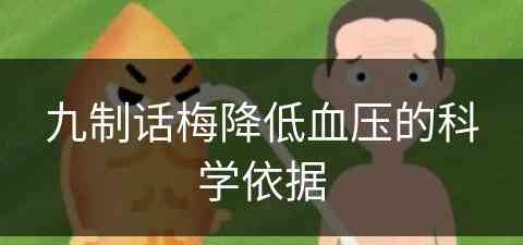 九制话梅降低血压的科学依据